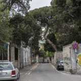 Da questo punto in poi, dopo aver incrociato sulla destra via dei Mille, la strada si fa ancora pi� stretta e ombrosa. Gli alberi degli edifici affacciati infatti debordano dai muri in pietra andando a ricoprire il cielo sopra via Ulpiani